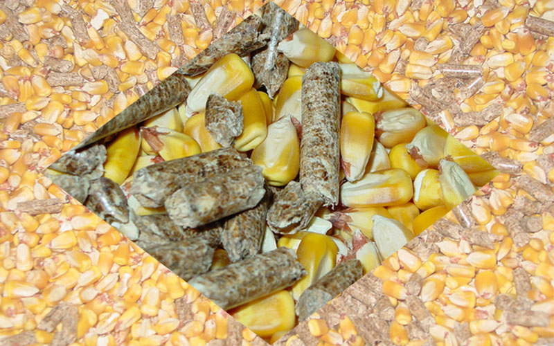 corn-pellets