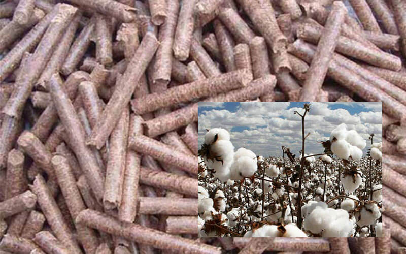 cotton-stalk-pellets