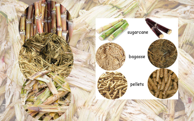 sugercane-bagasse-pellets